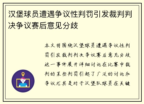 汉堡球员遭遇争议性判罚引发裁判判决争议赛后意见分歧